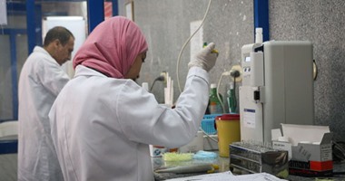 علماء أمريكان يبحثون زراعة أعضاء خنازير فى أجساد بشرية