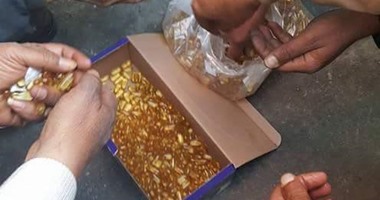 جمارك بورسعيد تحبط تهريب 910 آلاف سلاح كاتر ومكملات غذائية