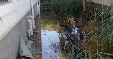 صحافة مواطن: بالصور.. قرية الصعايدة بالأقصر تغرق فى المياه الجوفية 