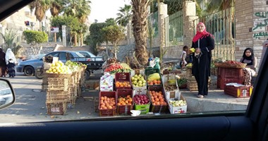 شنودة فيكتور فهمى يكتب: مابين خازوق المحليات ورصيف المواطن