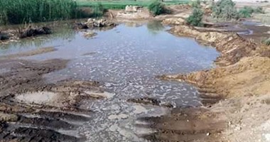 "صحافة المواطن"..تسرب مياه الصرف الصحى واختلاطها بمياه ترعة توشكى بأسوان