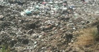 "صحافة المواطن".. موظفى قرية " الحوطا" بأسيوط يجمعون القمامة ويلقونها بنهر النيل