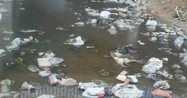 صحافة المواطن: قارئ يطالب بإدخال المجارى لنجع الفيما أسوة بالمناطق المجاورة