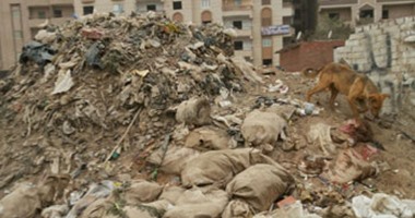 بالصور.. سكان "النزهة 2" يستغيثون بمحافظ القاهرة: "التلوث بيقتل ولادنا".. قمامة وحيوانات نافقة وروائح كريهة تُحيط بهم.. وأدخنة مصانع الكيماويات تهدد حياتهم.. وحوادث يومية على قضبان القطار