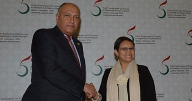 بالصور.. سامح شكرى يبحث نتائج زيارة السيسى مع نظيرته الإندونيسية فى جاكرتا 
