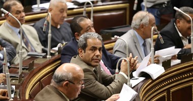 مجلس النواب يوافق على استحداث لجنة الشئون الإفريقية.. وإقرار 6 لجان أخرى
