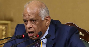 رئيس مجلس النواب يلتقى السفير الأمريكى اليوم