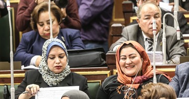 النائبة غادة صقر: تقاعس السفراء عن عملهم سبب الهجوم على مصر خارجيا