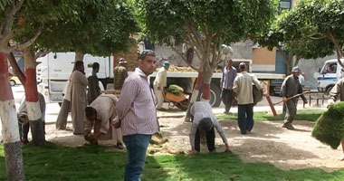بالصور.. تشجير وتنجيل أحياء مدينة كفر الشيخ