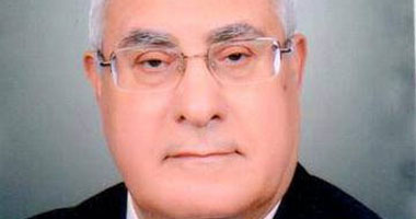 عناصر من الإخوان يتظاهرون أمام "الدستورية"