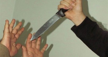 صبى يطعن أبيه فى النمسا دفاعا عن أمه