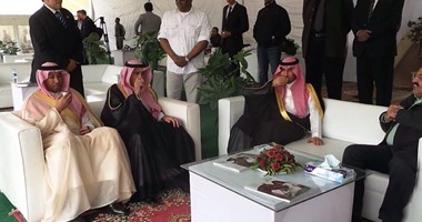 بالصور.. مصر تحصد المركز الأول لبطولة الفروسية الدولية