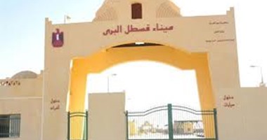 جمارك منفذ قسطل البرى تضبط محاولة تهريب كمية من الأدوية البشرية