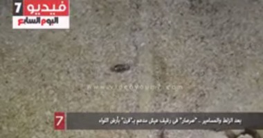 بالفيديو.. بعد الزلط والمسامير .. “صرصار” فى رغيف عيش مدعم بـ”فرن” بأرض اللواء