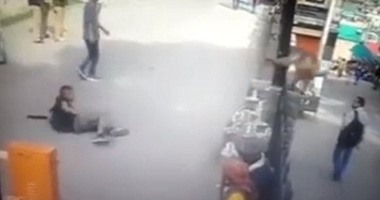 بالصور.. قرود تسيطر على أحياء الهند العشوائية وتسرق الأغراض الثمينة