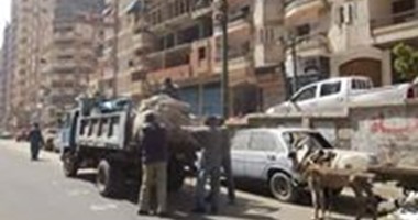 حى غرب الإسكندرية يسلم 145 باكية للباعة الجائلين