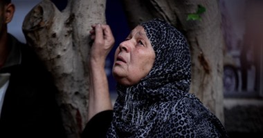 د. أمل همام تكتب: صوت ينادينى 
