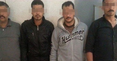 حبس 5 أشخاص لتنقيبهم عن الآثار فى الدقهلية