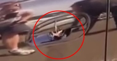 بالفيديو.. أسترالى يعثر على عنكبوت ضخم بمقبض سيارته.. فتش عربيتك الأول