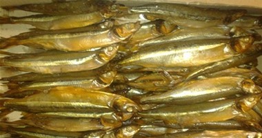 ضبط نصف طن أسماك مملحة منتهية الصلاحية بالشرقية