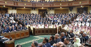 النائب لطفى شحاتة يطالب بإطلاق حملة قومية للتخلص من مرض الفشل الكلوى