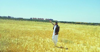 اليوم ..جهاز أكتوبر يبدأ تلقى استمارات تقنين أراضى الحزام الأخضر 