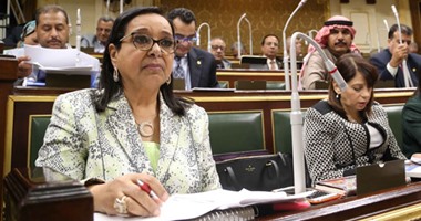 أنيسة حسونة: اجتماع النواب حول تعيين الحدود شهد آراء موافقة ومعارضة وخبراء