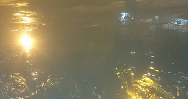 صحافة المواطن.. بالصور.. مياه الصرف تغرق منازل قرية بأسوان.. والأهالى يستغيثون