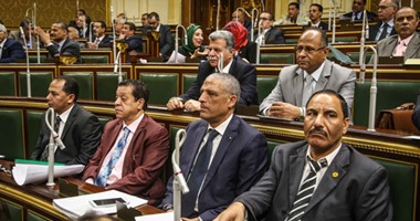النائبة شادية محمود: لازم الحكومة تشد الحزام