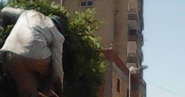 بالصور.. تطوير وتجميل 4 مدن ومراكز فى الشرقية