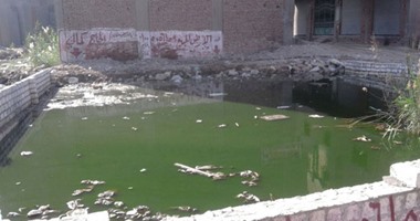 بالصور.. مياه الصرف تغرق وتهدد بانهيار منازل "الكونيسة" فى البحر الأحمر