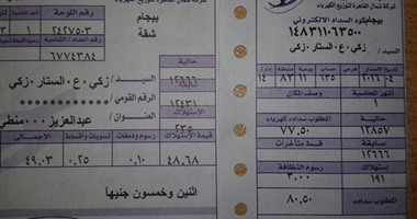 فاتورة مميكنة.. تعرف على مراحل إصدار فاتورة الكهرباء إلكترونيا