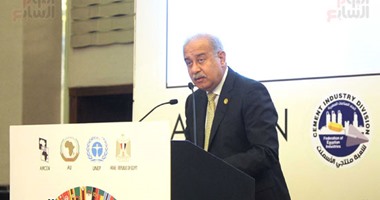 رئيس الوزراء يصدر قرارا بتخصيص قطع أراضى بالوادى الجديد والمنوفية للمنفعة العامة