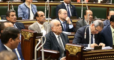 نائب:ما شهده البرلمان اليوم من مشادات لا يحدث فى مجلس محلى