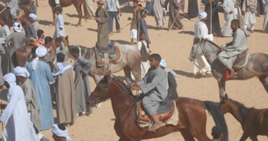 بالصور.. سباقات "مرماح الخيول".. غفلت عنها الحكومة وحافظ عليها أبناء القبائل العربية فى الصعيد.. 15 احتفالا تنظمها قرى أسوان سنويا لتشجيع السياحة.. "الشاطر حسن والقصبجى وفلفل وشبيه الريح" أشهر الخيول