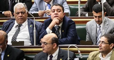 نواب الأغلبية يشكرون الرئيس على إقرار مليار جنيه دعما إضافيا للسلع برمضان