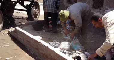 حملة لجمع القمامة وزراعة الأشجار بالخانكة