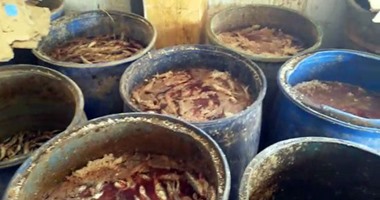 إعدام 10 طن سردين مملح وفسيخ بمركز منوف