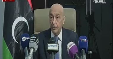 أخبار ليبيا اليوم.. عضو هيئة الدستور الليبى يؤكد بدء التصويت على المواد