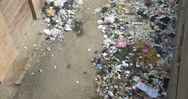 صحافة المواطن: قارئ يشكو تراكم القمامة فى شارع نور الإسلام بالدقهلية