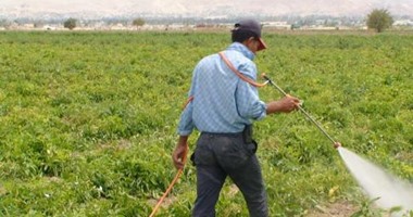 ​ "الزراعة": خطة لتوعية المزارع بالأثار السلبية للتغيرات المناخية بالصعيد