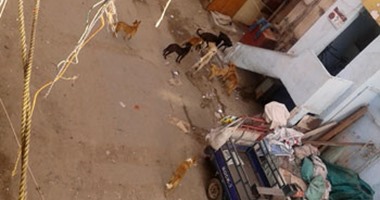 بالصور.. قرية شط الملح بدمياط تغرق فى بحر من الإهمال.. القمامة تتراكم فى الشوارع..انتشار الكلاب الضالة.. مياه الشرب ملوثة..مشروع الصرف الصحى متأخر.. والأهالى يطالبون المحافظ بحل مشاكلهم والرأفة بحالهم