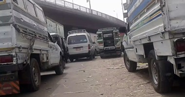 بالصور.. هروب سائقى السيرفيس بأسوان من المواقف الرسمية "للغرز".. عشوائية السائقين بميدان إدفو وغلق مداخل كوم أمبو.. الأهالى يطالبون بتطبيق العقوبات ضد المخالفين.. ومحافظ أسوان يوجه بإنشاء مواقف حضارية