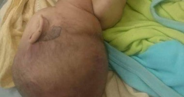 العثور على جثة طفلة بمنشأة القناطر فى الجيزة