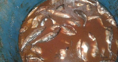 الداخلية تضبط 30 طن فسيخ فاسد فى شم النسيم