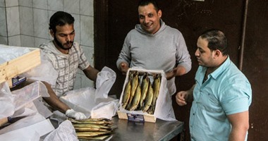 تصنيع «الرنجة» فى مصر