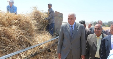 بالصور..18.5 إردب متوسط إنتاجية فدان القمح فى موسم الحصاد بالسويس
