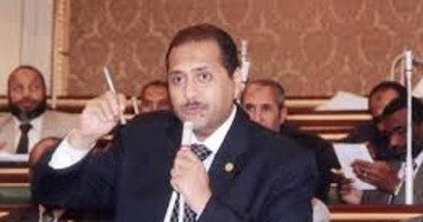 النائب حسين أبو الوفا: المجتمع الدولى متناقض فى تعامله مع قضايا حقوق الإنسان