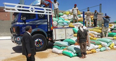 تموين المنيا: توريد 341 ألف طن قمح من المزارعين