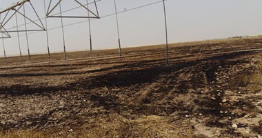 السيطرة على حريق بمحصول القمح فى المنوفية